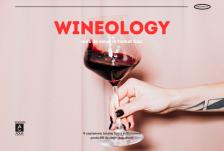 Banner Wineology curs de vinuri 590 x 397