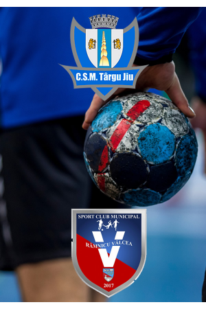 Poster handbal valcea