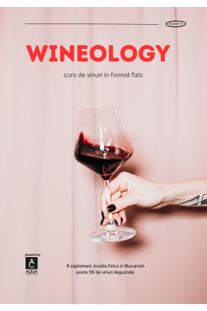 Banner Wineology curs de vinuri 600 x 860 px