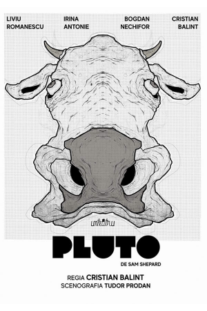 Pluto afis